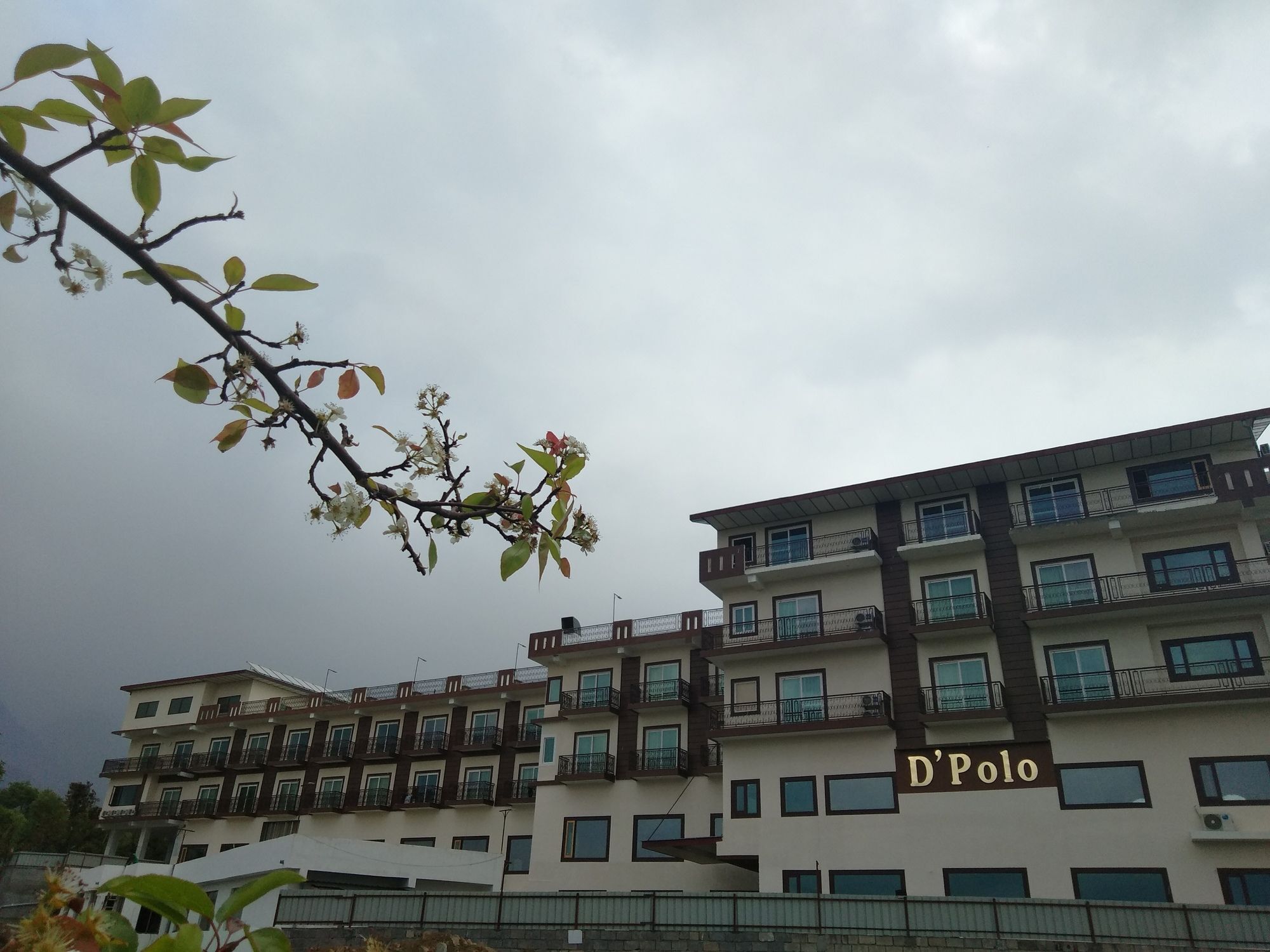 D'Polo Club & Spa Resort Dharamshala Luaran gambar